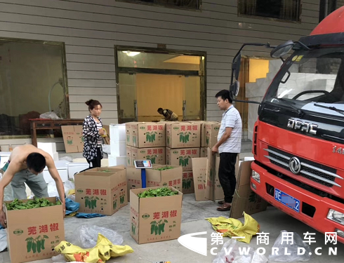 圖片6_副本.png 圖片6_副本.png